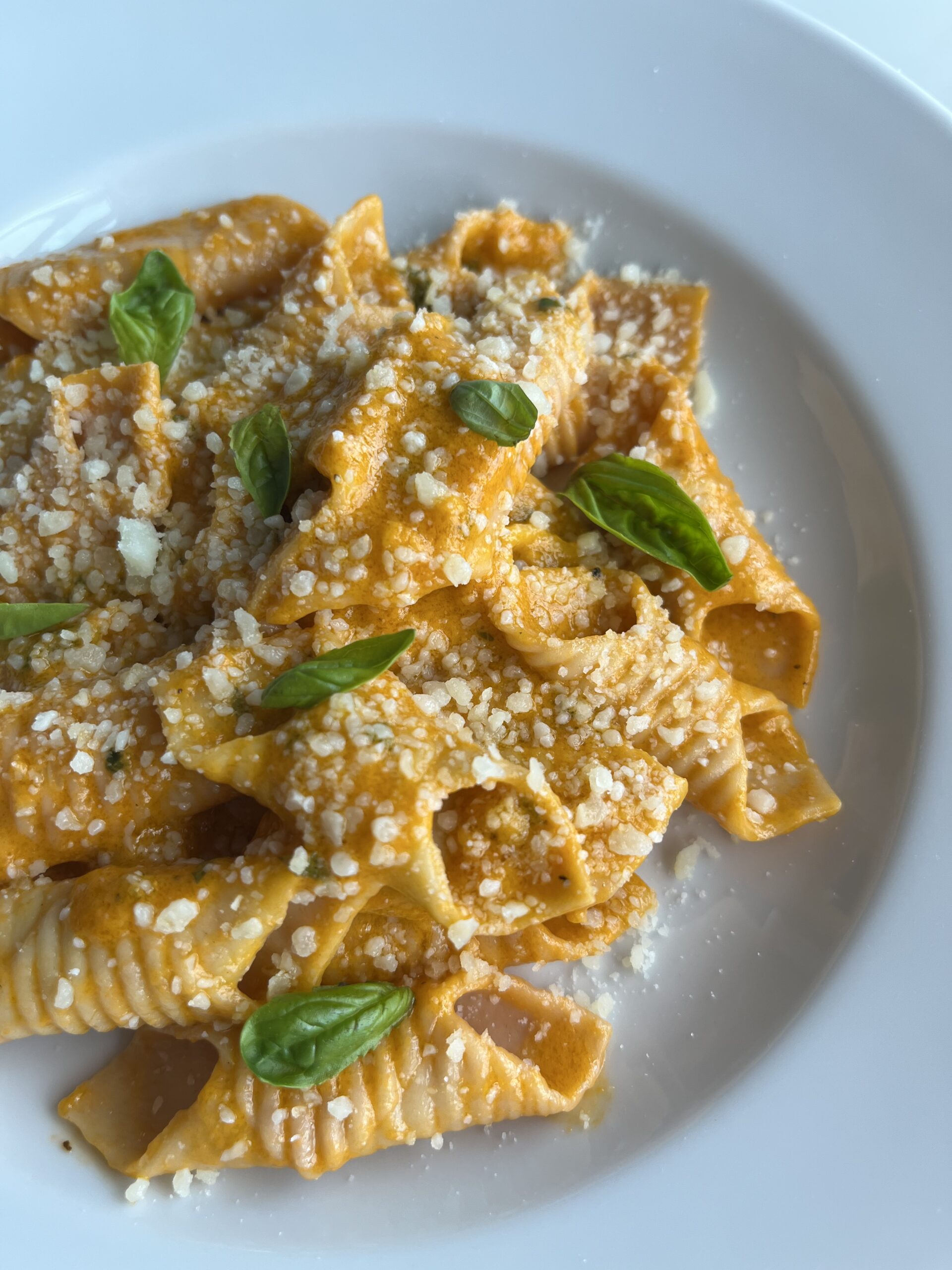 Garganelli with Vine Ripe Tomato Purée